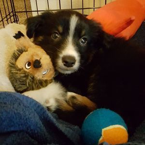 Meet your Posher, Ardeth